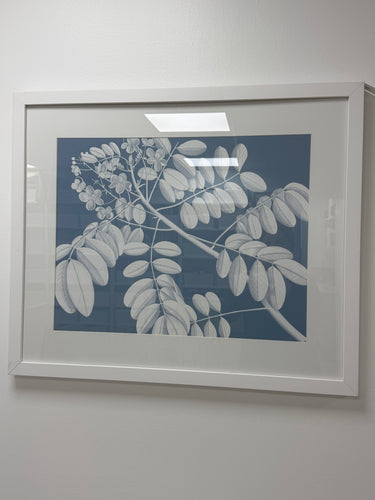 Von Rheede Botanical Blue Nose Reverse II