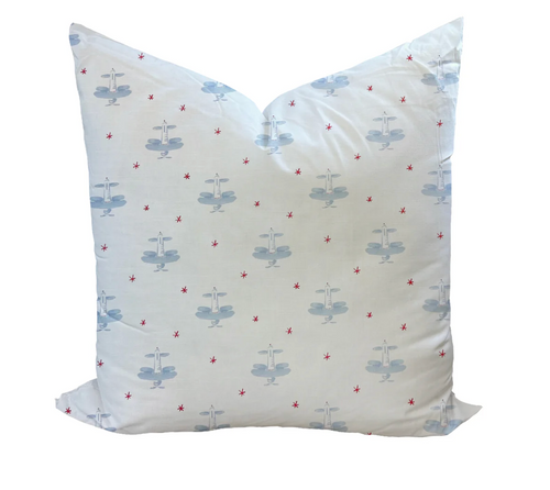 David's Airplane Pillow 19