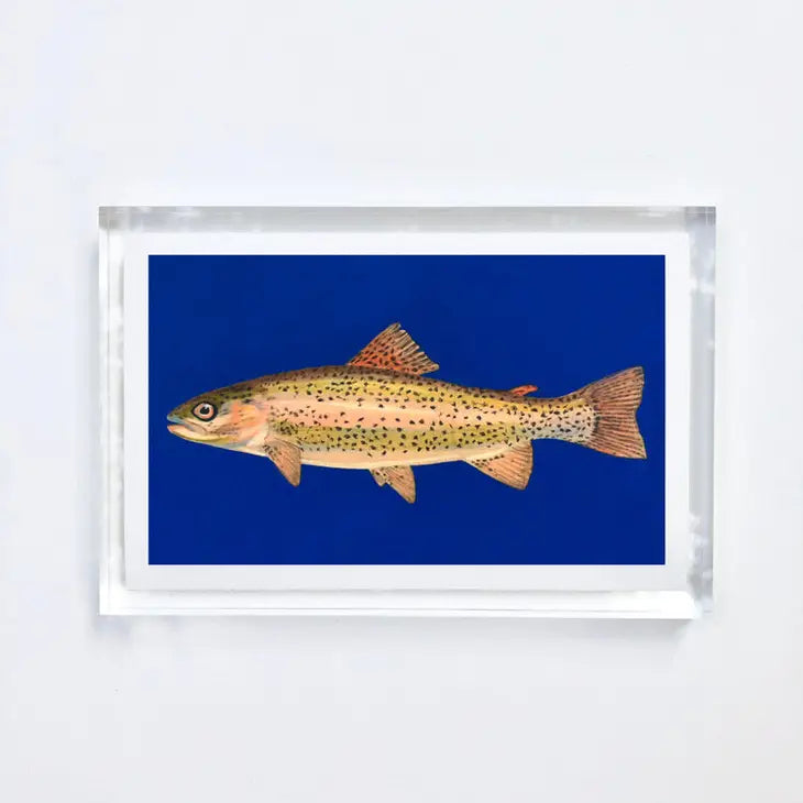 Trout Print With Acrylic Frame